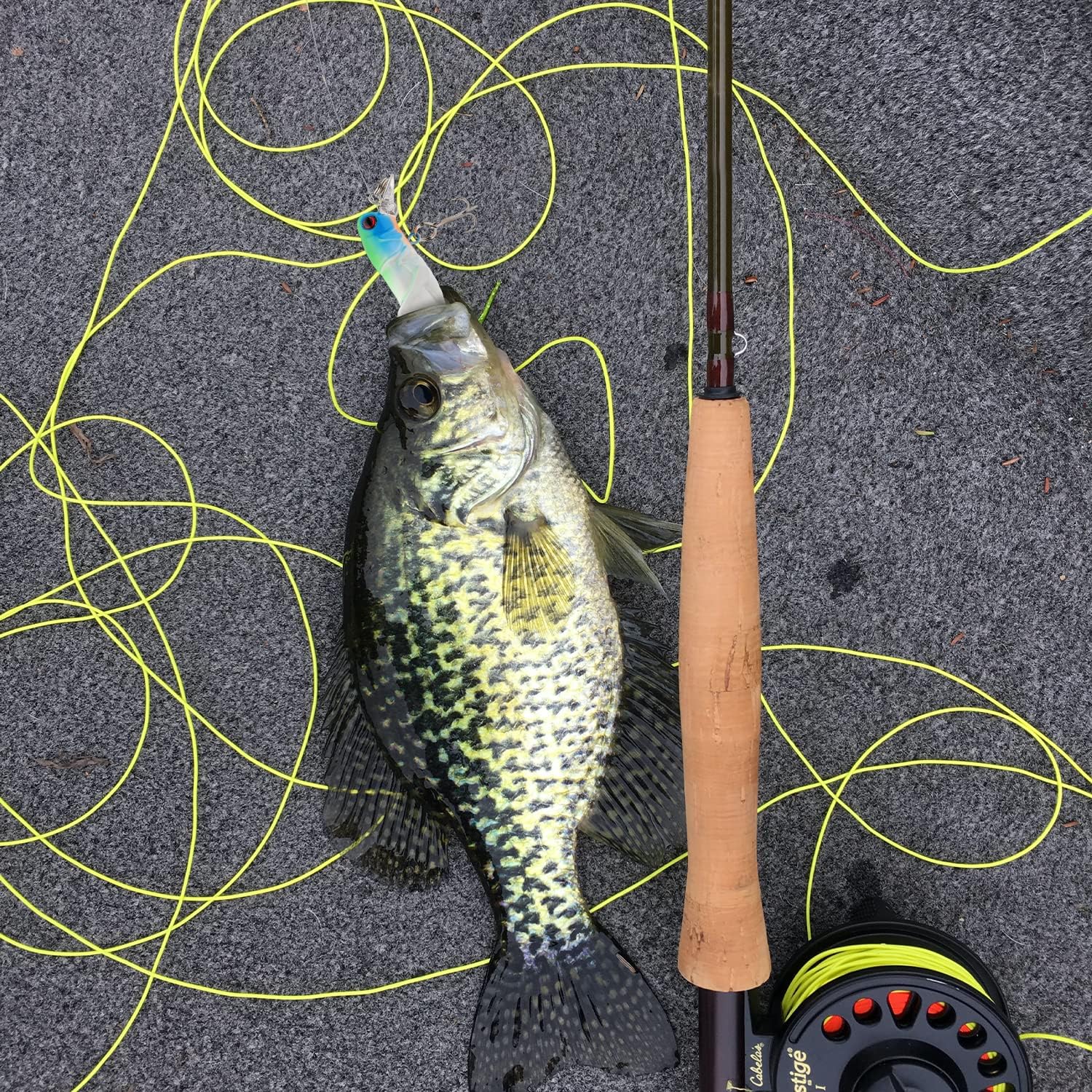 5Pcs Grasshopper Crankbait Hard Fishing Lures